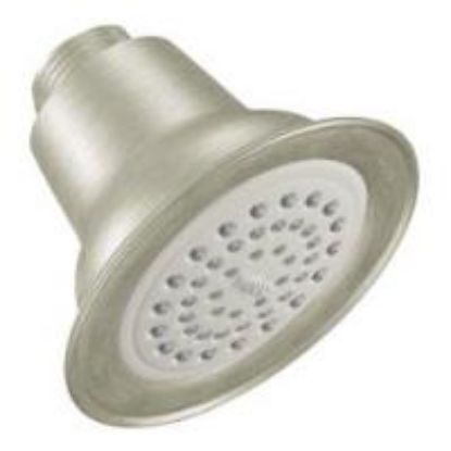 Picture of 6303EPBN SHOWER HEAD ONLY EP BN