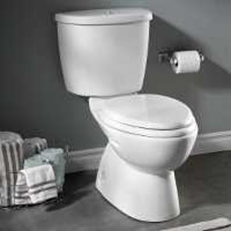 Picture of 735130400.020 FLOWISE DUAL FLUSH TNK