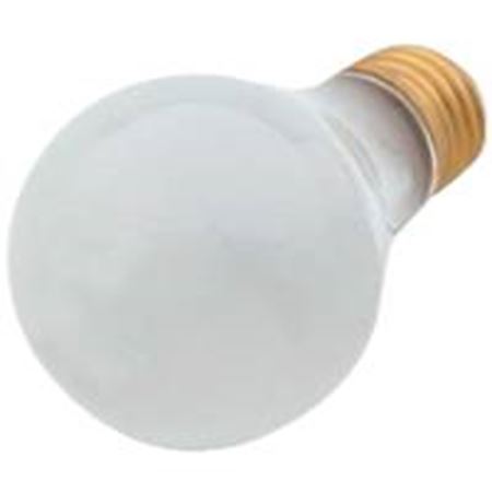 Picture of C++ 79172 75 WATTS ROUGH SERVICE  BULB