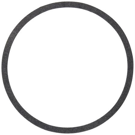 Picture of 106050-000  BODY GASKET     ARMSTRONG