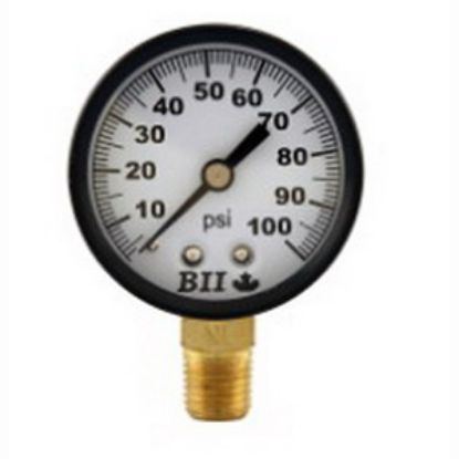 Image de PG-0-100NL CFP 2"JAUGE PR 1/8"LM 0-100
