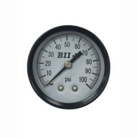 Picture of PGCBM-1-100 2" PRESSURE GAUGE 1/4"