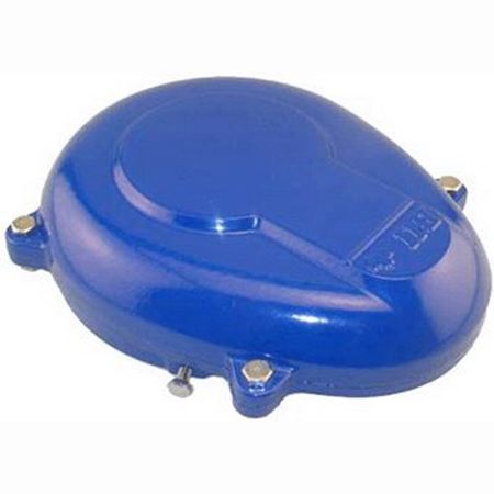 Picture of WTC-A06-BLUE 6" BLUE WELL CAP