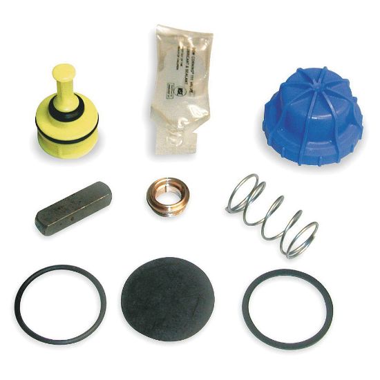 Picture of S65-230 FOOT VLV REPAIR KIT BRADLEY