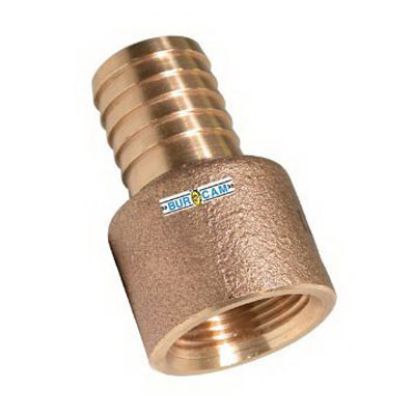 Image de 750949 FA-100 1" BRASS FEMALE ADAPTER
