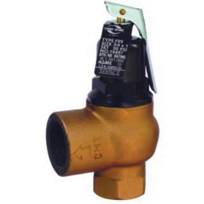 Picture of 19497-0050 3/4"X1" F95 IR BDY 50PSI RLFV