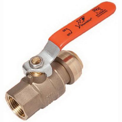 Image de RS+ 22186LFCA 3/4" X 3/4" FNPT ROB BILLE