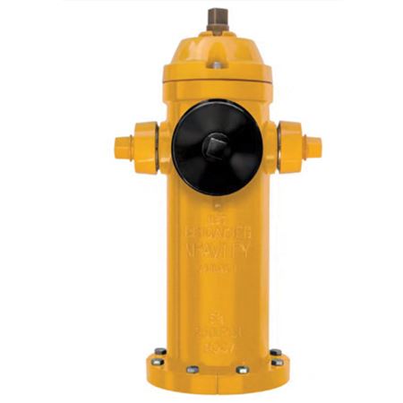 Picture of M67 9' BURY ESTEVAN SPEC HYDRANT