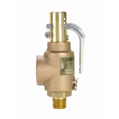Picture of 29.202A100 STEAMRELEASE VLV 1/2"IN 1"OUT