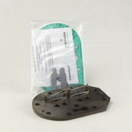 Picture of 998066106 VALVE PLATE KIT E