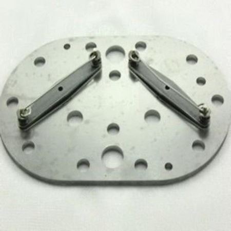 Picture of 998066116 VALVE PLATE KIT K