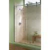 Picture of RP6025SS SHOWER FLANGE SS