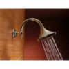 Picture of R++ RP70909PN SHOWER ARM ASSEMBLY