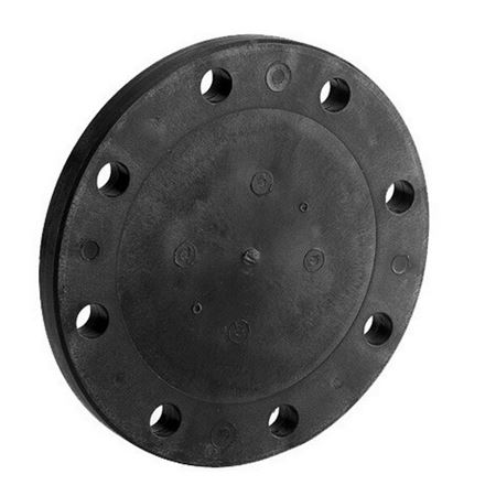 Picture of 300MM (12) DI BLIND FLANGE