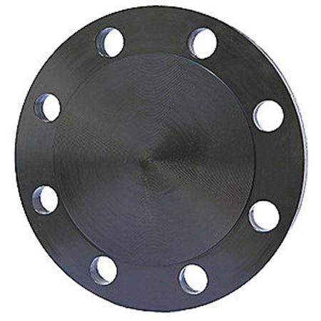 Picture of 10 150 BLIND FLANGE FF