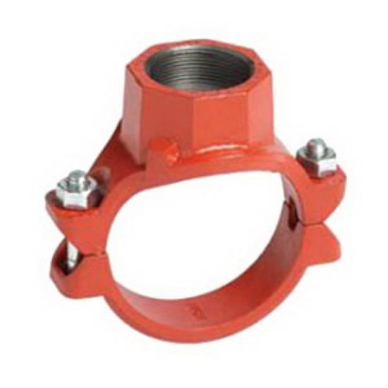 Picture of 920N 4X1-1/4 FNPT MEC-T OLET E GASK PNT