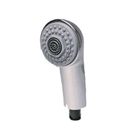 Picture of 46.298.IE0 HANDSPRAY CHROME        GROHE