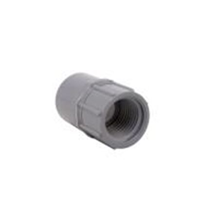 Picture of 1/2" PVC 40 ADAPT SW X FEM