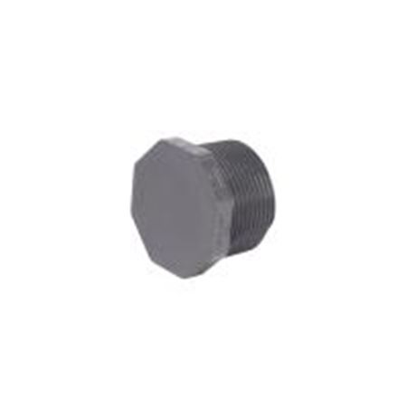 Picture of 11/4" PVC 40 PLUG THREADED