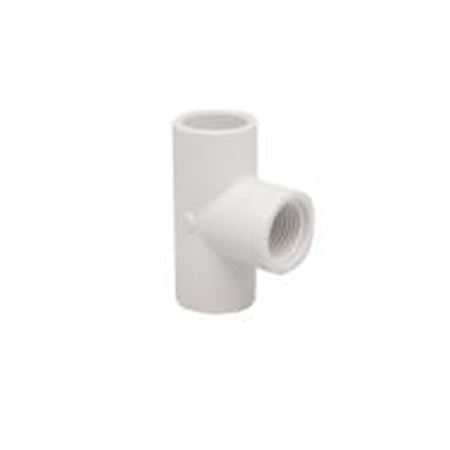 Picture of 1/2" PVC 40 SW X FIP TEE WHITE