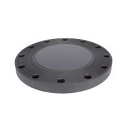 Picture of 10" PVC 80 FLANGE BLIND