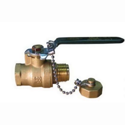 Picture of N++ 201CJ 1/2 VALVE CAP AND CHAIN