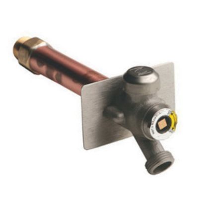 Image de 5609QT-10 10" BN PLATED 1/4 WALL HYDRANT