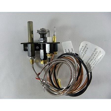 Picture of 1001-P713SI PILOT ASSY. L.P.