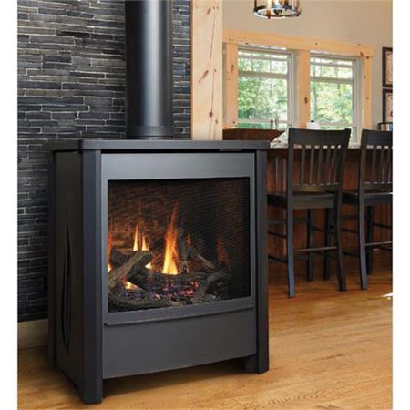 Picture of C++ FDV451LP FREE STANDING DV STOVE - LP