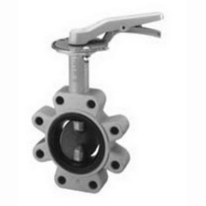 Picture of 6122EL 2" LUG DI #200 BFLVLV EPDM