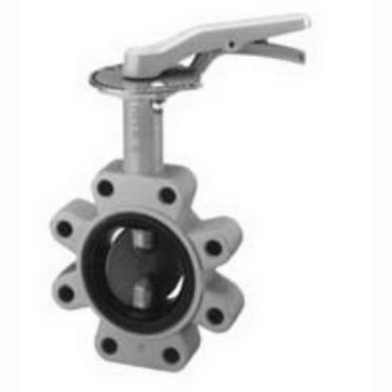 Picture of 6141EL 4" LUG DI #200 BFLVLV EPDM