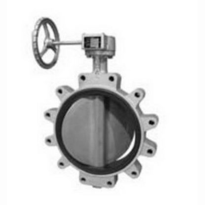 Picture of 6141EG 10" LUG DI #200 BFLVLV EPDM