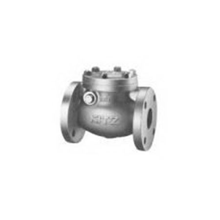 Picture of 78(125FCO) 3" FLG CI #125 CHECK VALVE