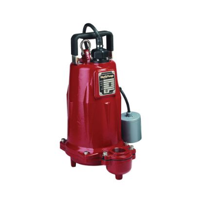 Picture of FL202A-2 2HP 230V 1PH AU EFFLUENT PUMP