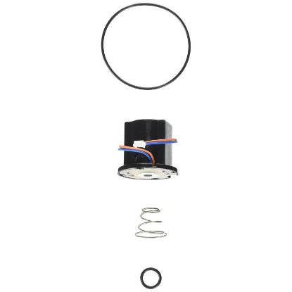 Picture of 104435 FLSVLV SOLE. REPAIR KIT