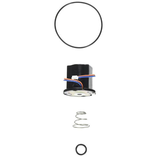 Picture of 104435 FLSVLV SOLE. REPAIR KIT