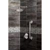 Picture of S110 SHOWER ARM CHR