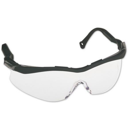 Picture of C++ T56005BA CSA SAFETY GLASSES NORTH