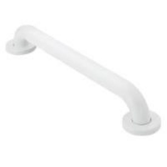 Picture of R8724W 1.25X 24 CONC GRAB BAR WHI