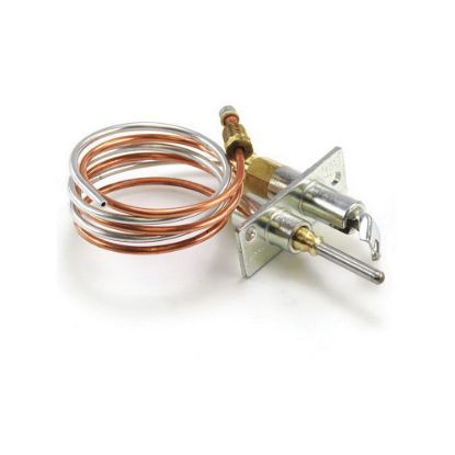 Image de 110851 ENS PILOTE GAZ NAT ASS P/PILT ATT