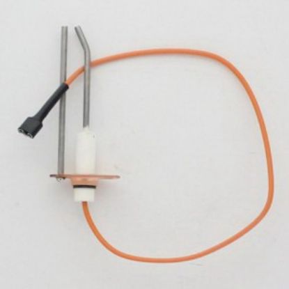 Image de 175272 DSI ENS ELECTRODE