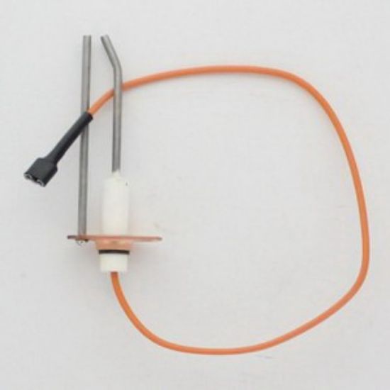 Image sur 175272 DSI ENS ELECTRODE