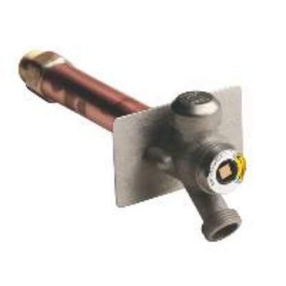 Image de 5609QT-12 12" BN PLATED 1/4 WALL HYDRANT