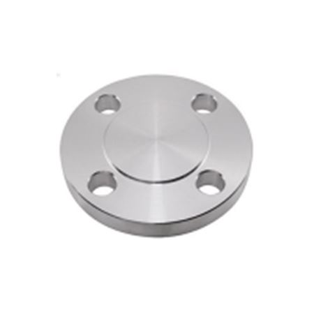 Picture of P++ 1  BLIND FLANGE RF 150# SS 316