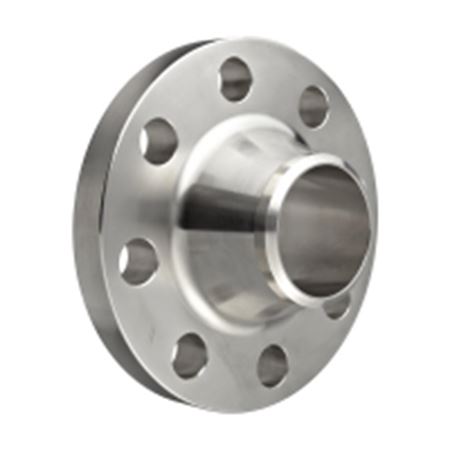 Picture of P++ 4 WELD NECK FLANGE RF 150# SS 316