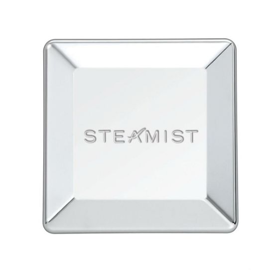 Picture of C++ 3199 STEAMHEAD & ESC - POLISHED NICK