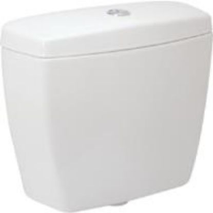 Picture of C++ ST405M#01 ROWAN DUAL FLUSH TANK COTT