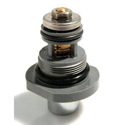 Image de TH559EDV506 BOUTON CHASSE MANUEL