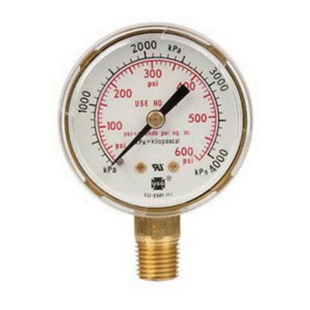 Picture of 1424=0381 2"X600# GOLD TINT GAUGE PKG