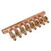 Picture of LF2500800 MANIFOLD W/LF VLV 8 OUTLET